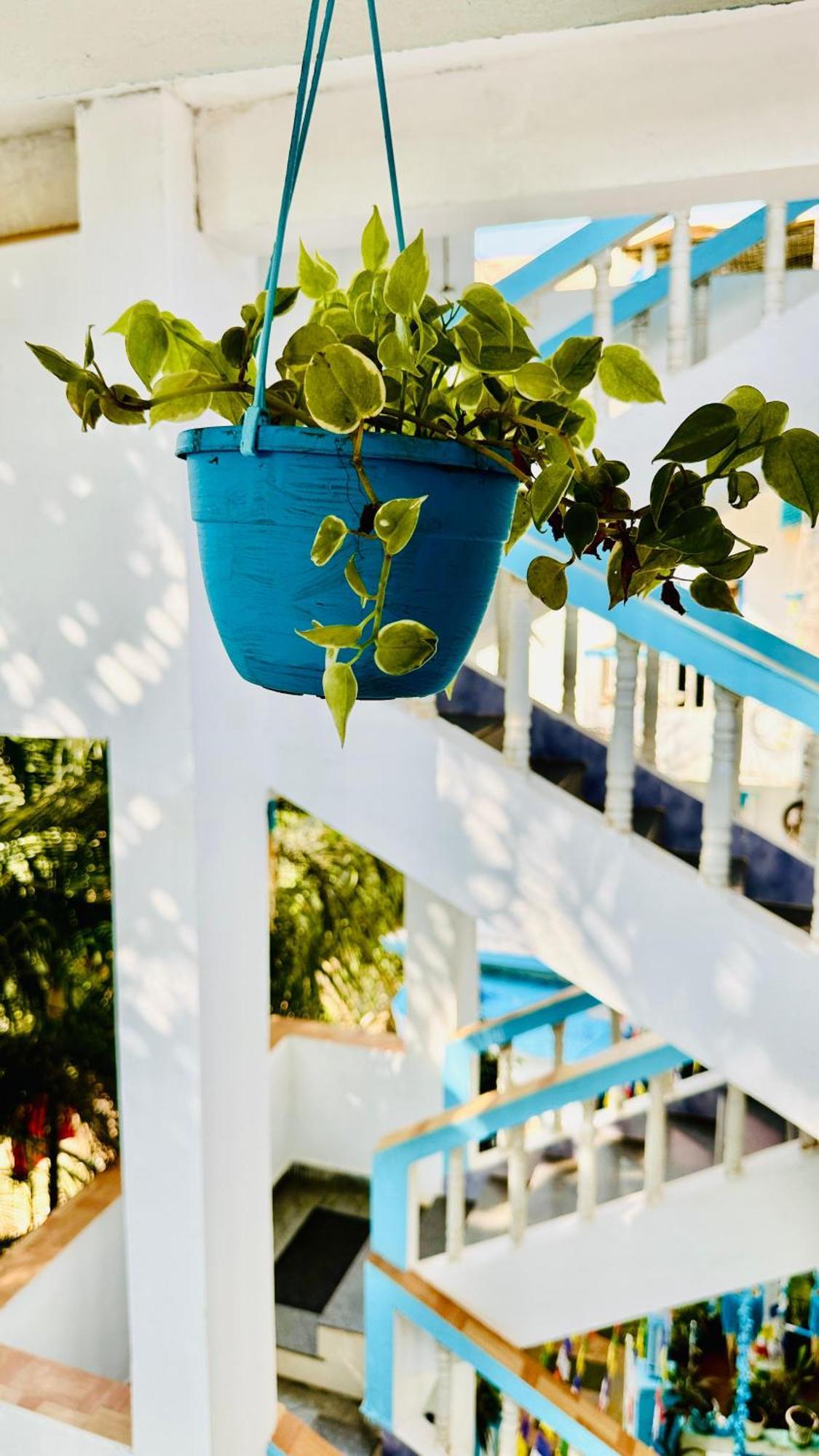 Omkar Wellness Inn Arambol Bagian luar foto