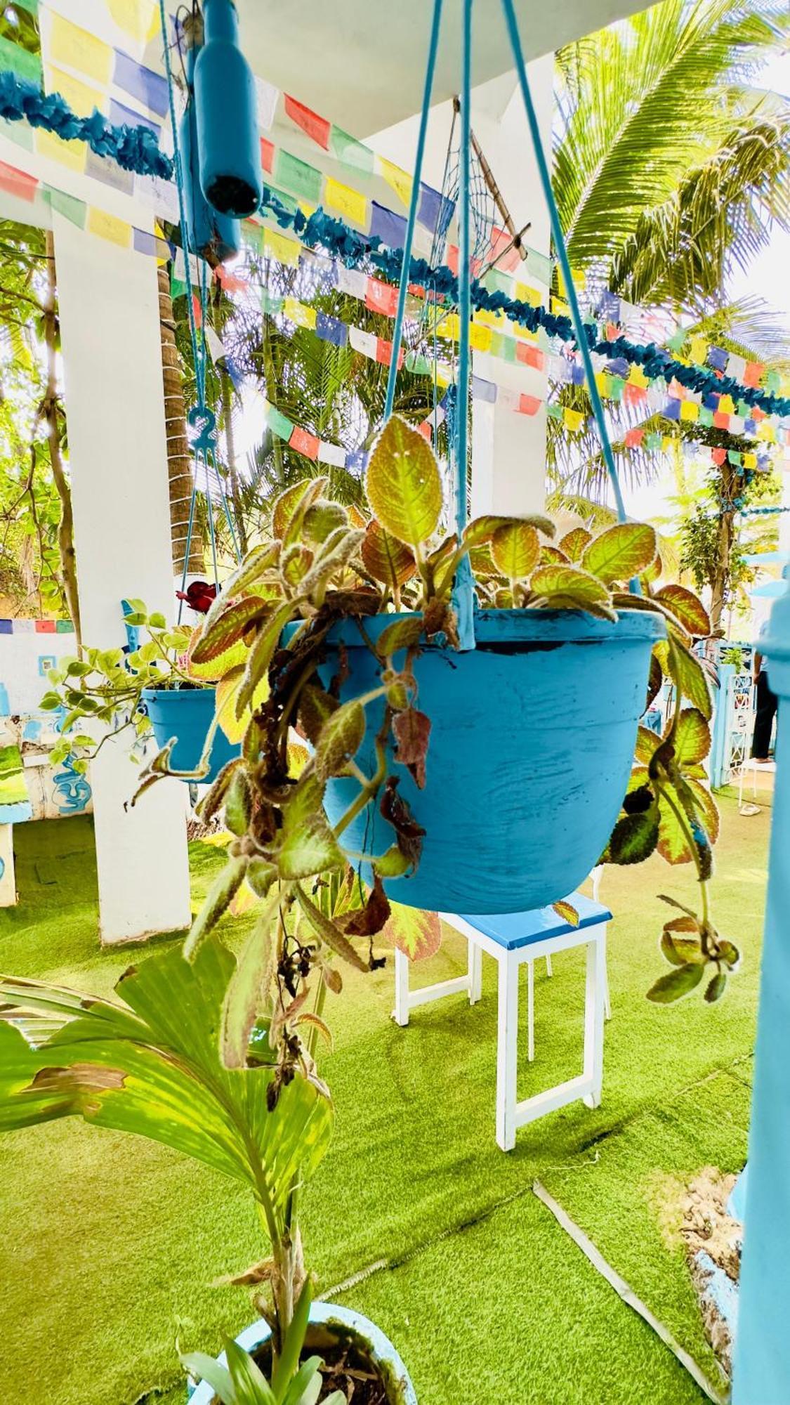 Omkar Wellness Inn Arambol Bagian luar foto