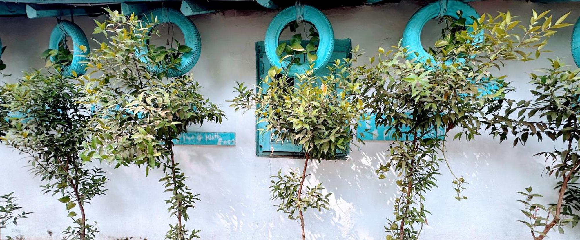 Omkar Wellness Inn Arambol Bagian luar foto
